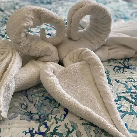 Bn'b Diva Gasthuis 3*